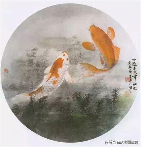 鯉魚畫畫|鯉魚的工筆與寫意畫法，建議收藏！